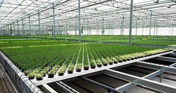 苗木组培室需要什么设备？