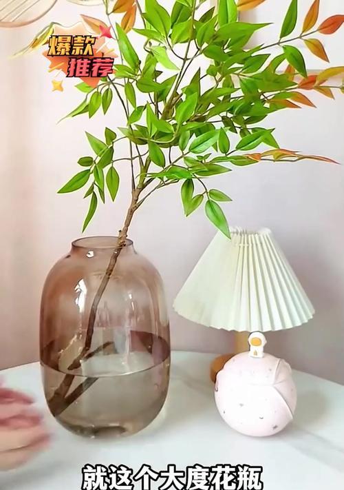 插花时使用玻璃瓶还是花盆更好？