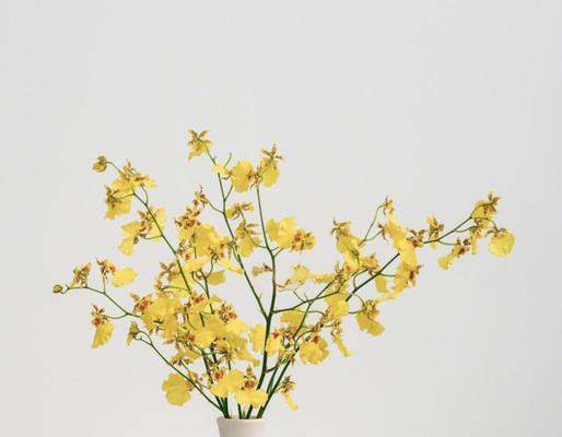 如何选择插花花瓶的颜色？