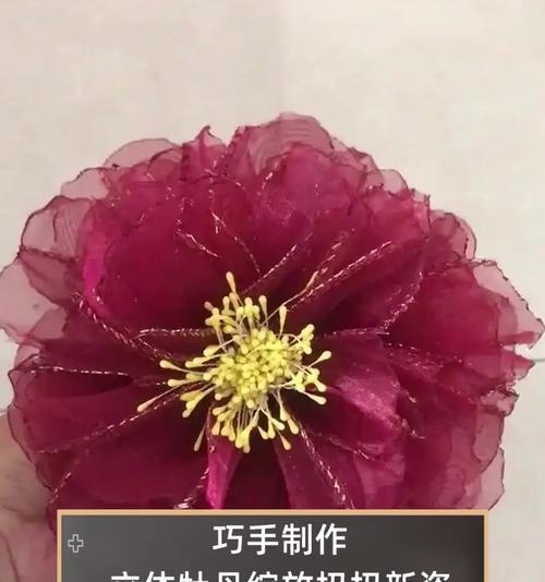 瓢瓜种植技术全过程是怎样的？有哪些关键步骤？