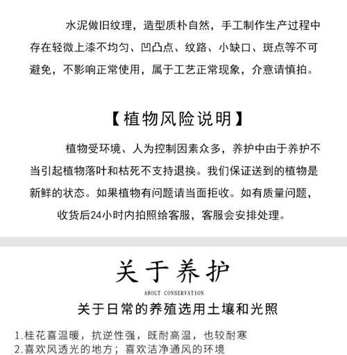 月桂种植技术与管理技术哪个更优？如何判断？