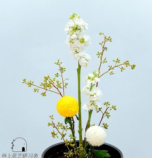插花时应选择哪种类型的水？