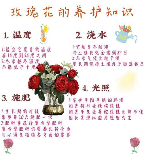 智利火玫瑰养殖注意事项是什么部位？不同部位的养殖方法有何不同？