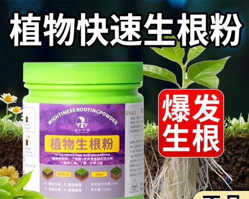 哪种插花生根粉更受花友青睐？