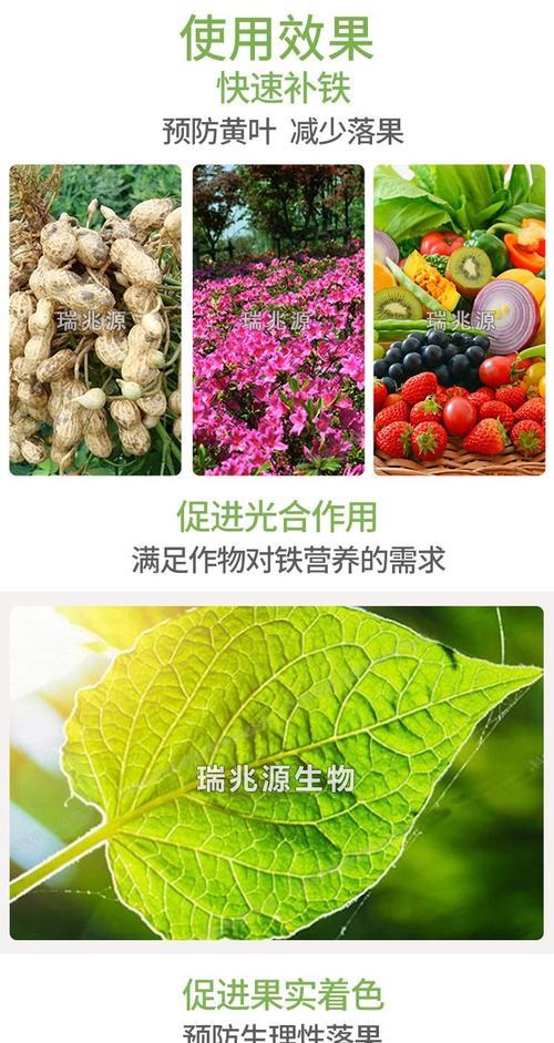 果树补铁施肥有哪些方法？