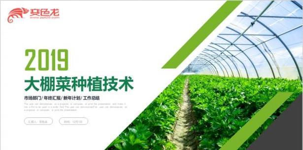 大棚绿宝瓜种植技术与管理方法有哪些？