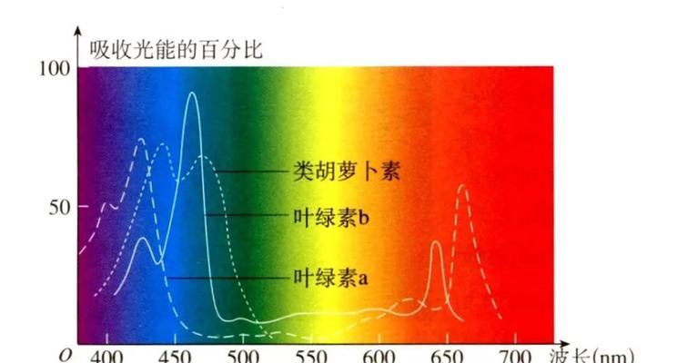 绿色植物光反应的场所具体指什么？
