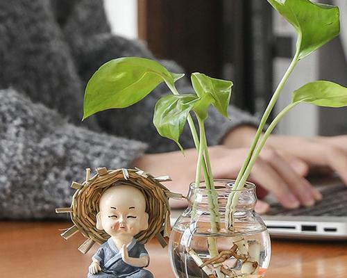 玻璃器皿插花时应采取哪些措施？