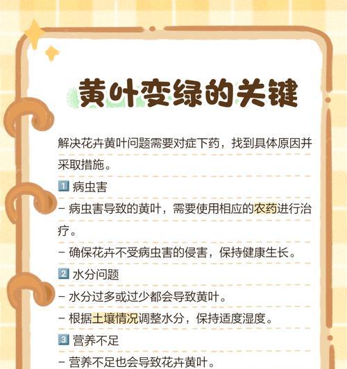 绿色植物未变色是因为不反射光吗？
