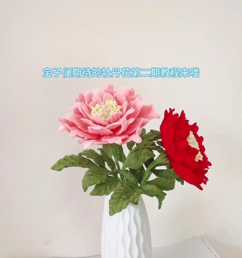 田鸡草种植方法和技术有哪些？如何提高成活率？