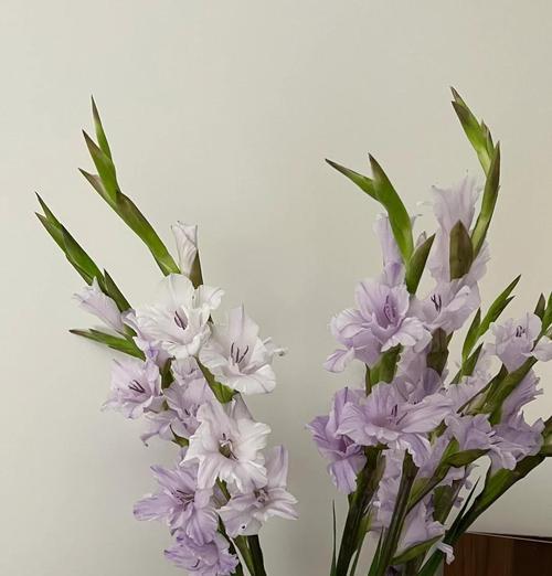 如何选择最适合插花的花瓶？