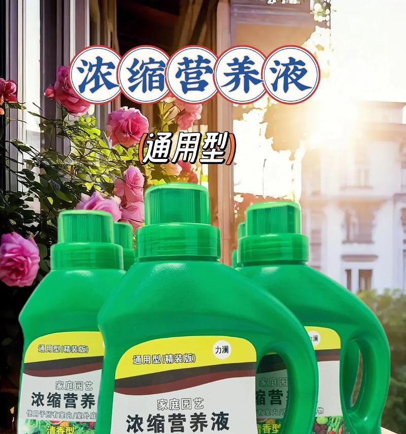 月桂树盆栽怎样养茂盛？需要哪些特别的营养液？