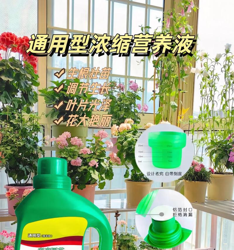月桂树盆栽怎样养茂盛？需要哪些特别的营养液？