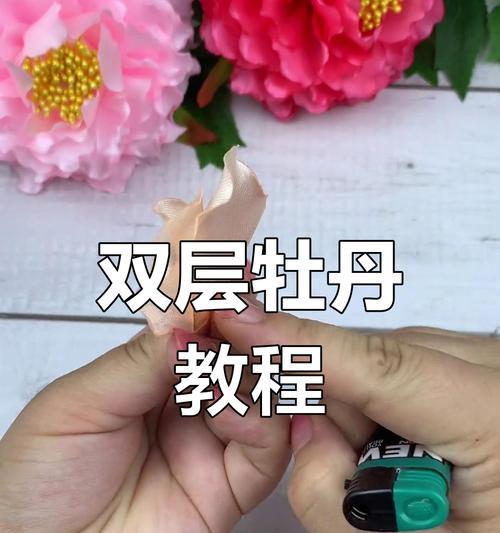 月桂种植技术与管理方案设计应如何进行？