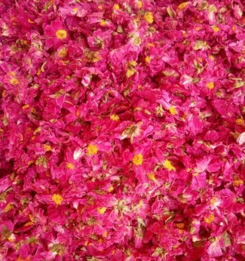 牡丹花只长秧不长花蕊是何原因？