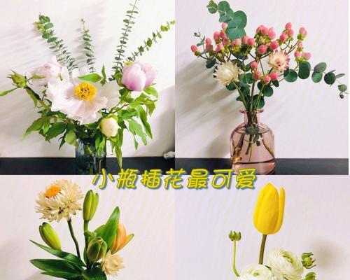 插花颜色如何保持鲜艳？有哪些简单技巧？