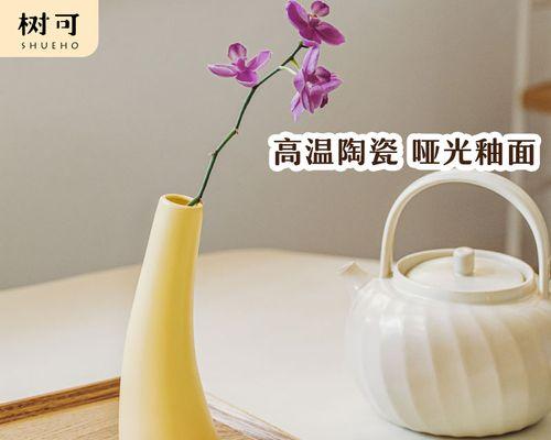 哪种瓶子最适合插花？