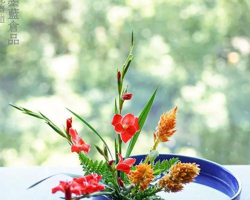 插花用什么水浇效果最佳？有哪些推荐？