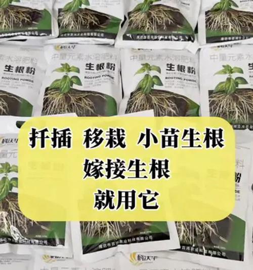 哪种插花生根粉更耐用？选择插花生根粉的标准是什么？