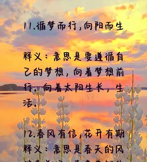 盆栽茂盛的成语有哪些？它们的寓意是什么？