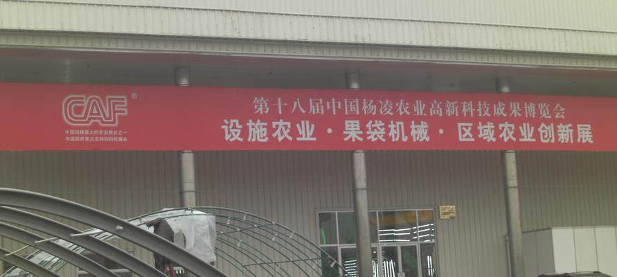 龙骨大棚种植技术要点包括哪些方面？