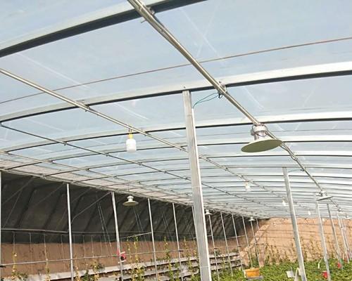 龙骨大棚种植技术要点包括哪些方面？