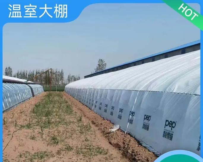 龙骨大棚种植技术要点包括哪些方面？