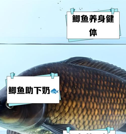 鲫鱼的养殖技术有哪些？养殖鲫鱼的利润如何？