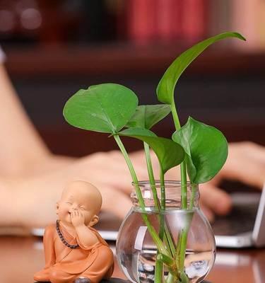 插花时玻璃器皿使用技巧和注意事项是什么？