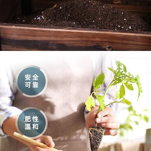 盆栽换花时是否需要更换土壤？