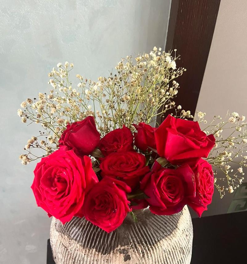 红玫瑰花种植技术和栽培管理是什么？
