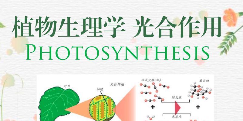绿色植物哪种气体进行光合作用？光合作用对护眼有何帮助？