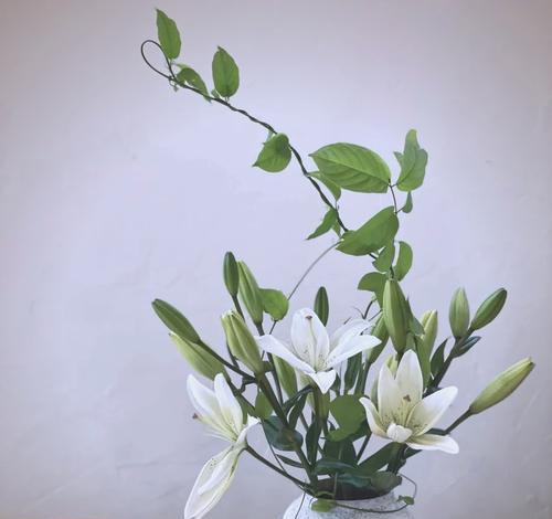 插花水中能加生根粉吗？这样做有什么好处？