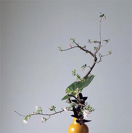 东方式插花的三种基本类型是什么？