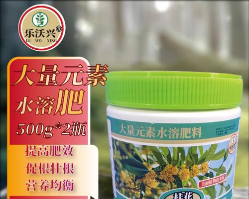 盆栽月桂应使用哪种磷肥效果最佳？