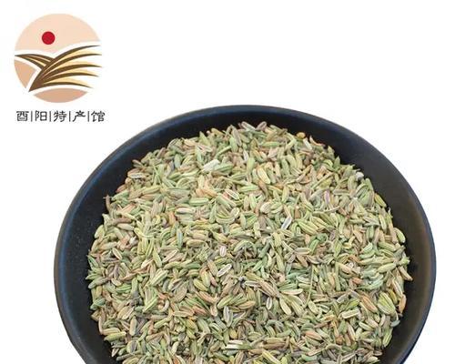 海南月桂种植技术与管理技术要点是什么？