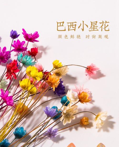 怎样使满天星插花的颜色更加鲜艳？