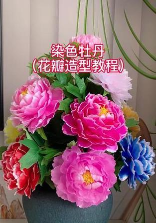 智利红玫瑰花养殖方法和技术要求？掌握这些要点对养殖有何帮助？
