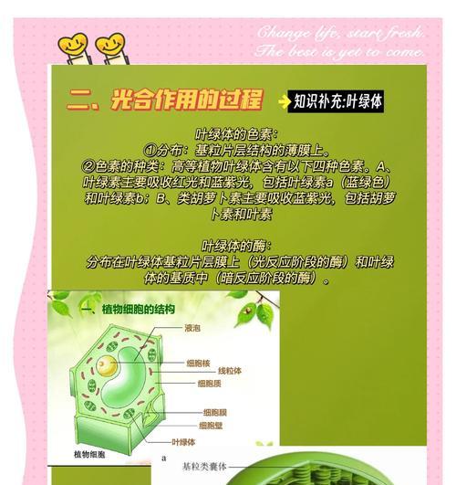 绿色植物光反应发生在哪些场所？
