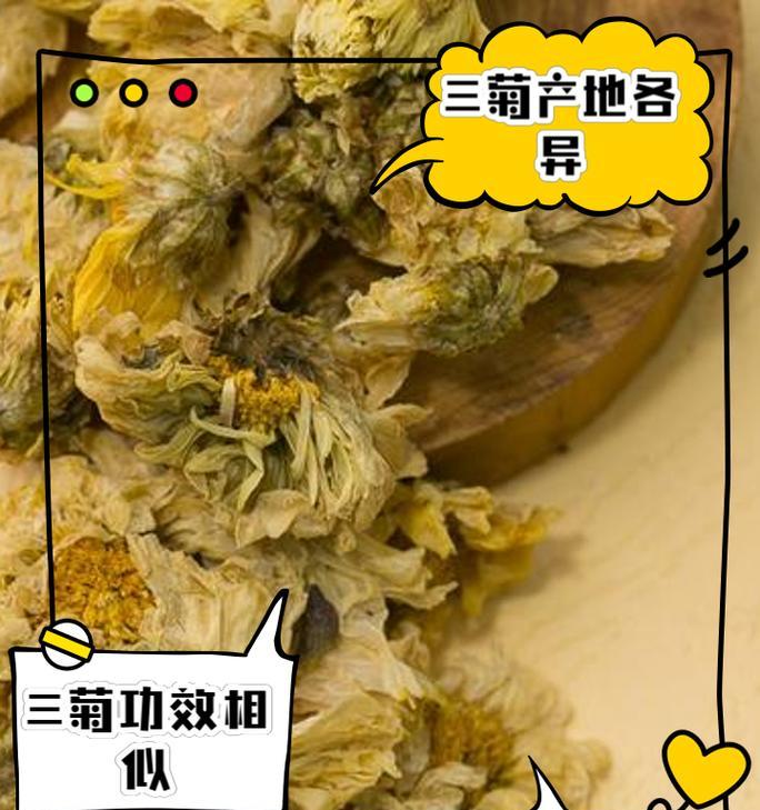 雏菊和杭菊的区别是什么？如何正确区分它们？