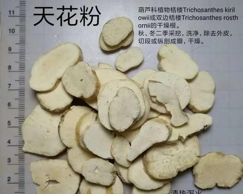 满天星真的没有花粉吗？真相是什么？