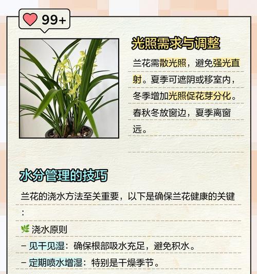 如何正确识别兰花品种和养护苔藓？