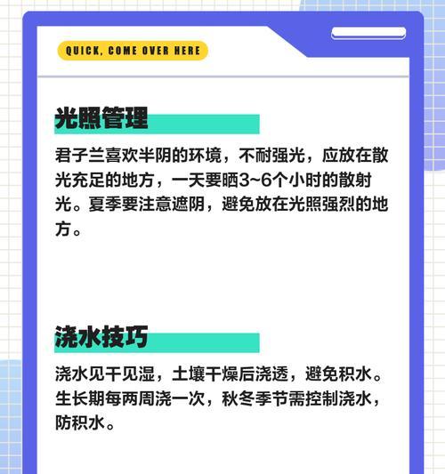君子兰五大生命周期阶段的科学养护方法是什么？