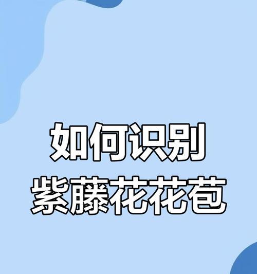 如何识别常见花卉？常见花卉名称汇总有哪些？