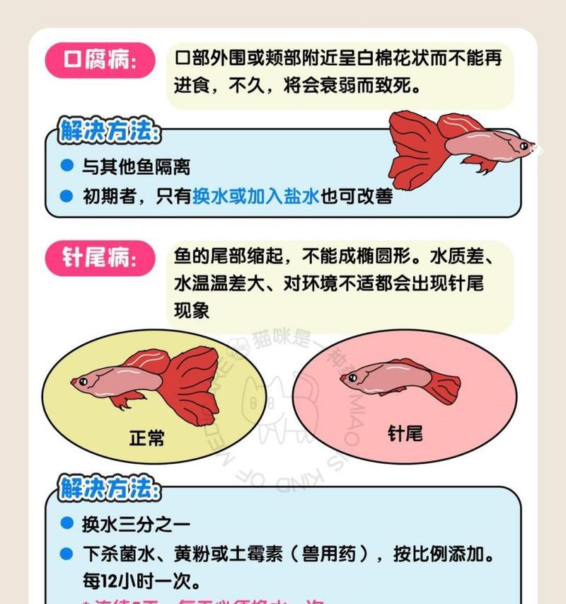 鱼类如何受精繁殖？受精繁殖方式有哪些？