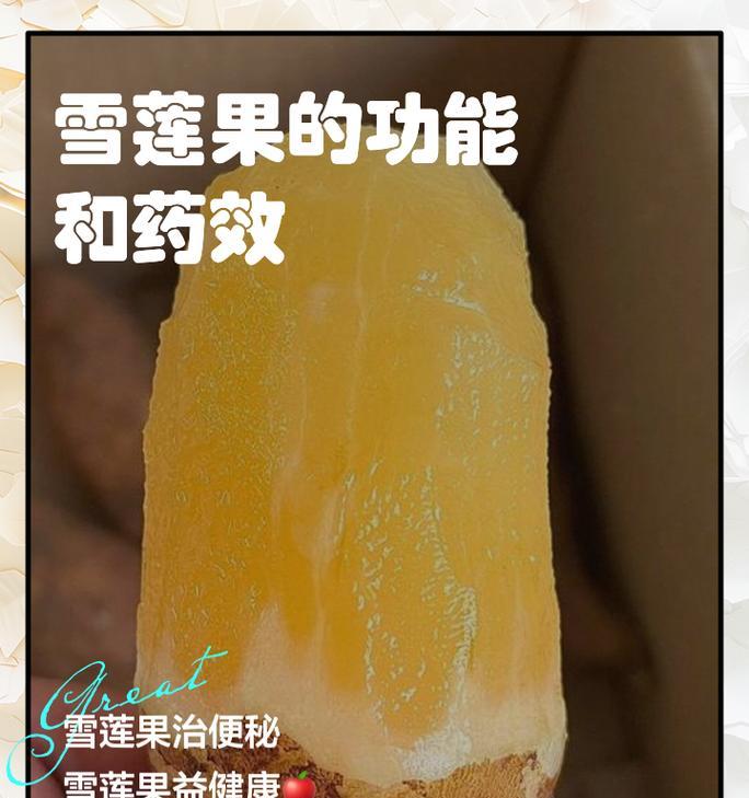雪莲果种植有什么特点？如何快速繁育雪莲果？