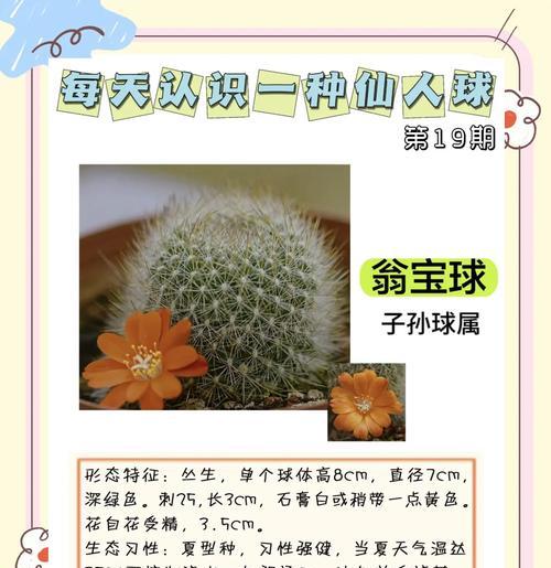 如何培养仙人球使其容易出现锦花？