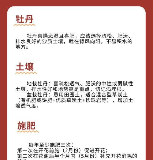 牡丹花如何安全度过夏季？