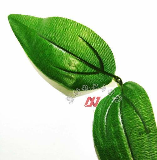 仿真牡丹花枝叶的保养方法有哪些？