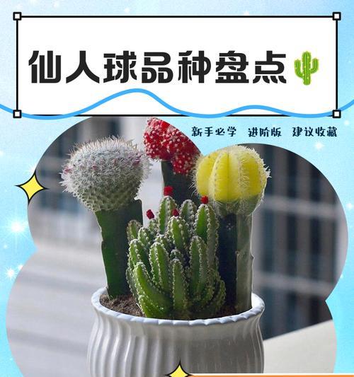 黄绿皮仙人球的品种名称是什么？
